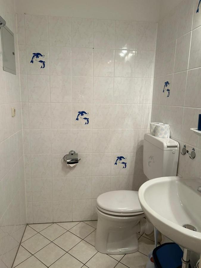 Reichenbach Apartment باد ريشنهول المظهر الخارجي الصورة