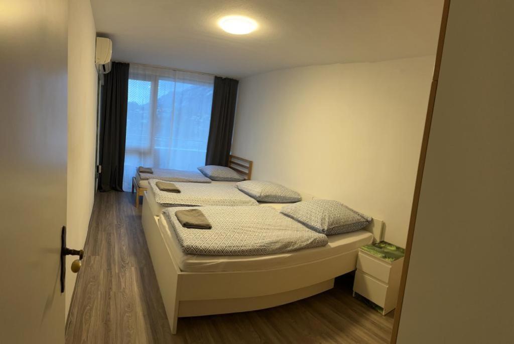 Reichenbach Apartment باد ريشنهول المظهر الخارجي الصورة
