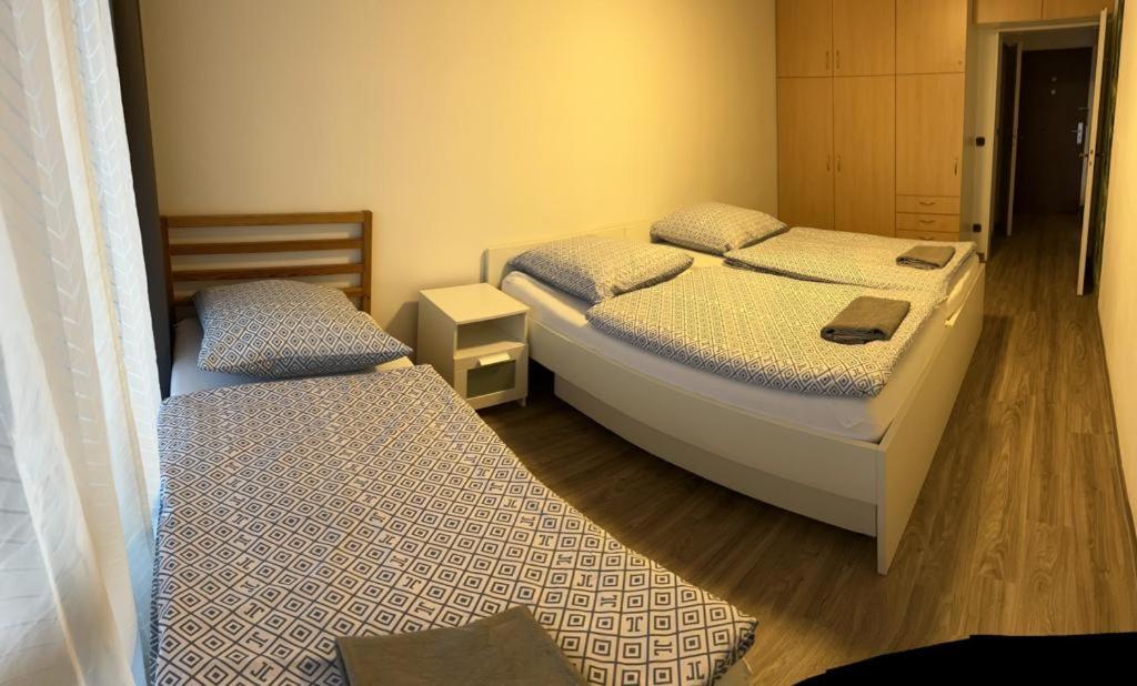 Reichenbach Apartment باد ريشنهول المظهر الخارجي الصورة